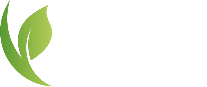 Morin Gotas